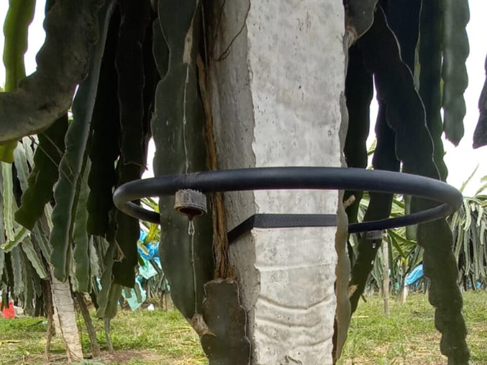 Riego de Plantaciones Agrofelman